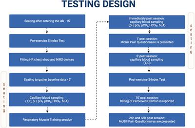 Respiratory muscle training induces additional stress and training load in well-trained triathletes—randomized controlled trial